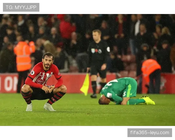 南安普顿强势崛起，英超积分榜稳步攀升表现抢眼