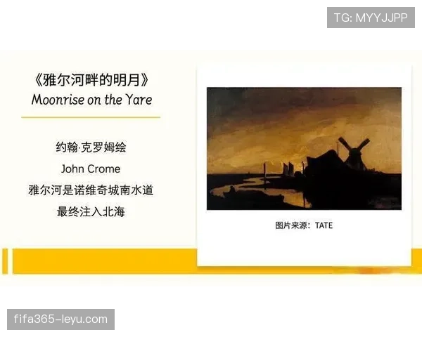 诺维奇城：在升降机命运中迎接新挑战与转机