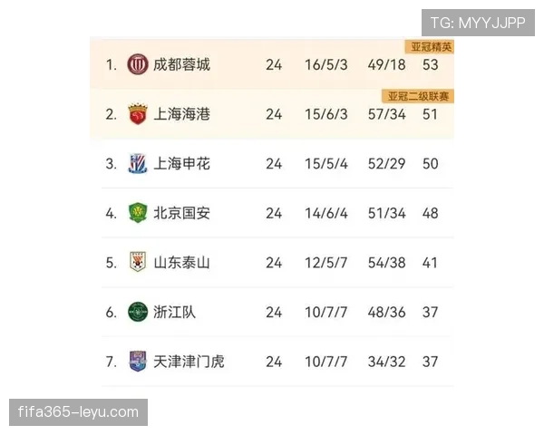 埃弗顿深陷积分榜下游，保级压力加剧未来挑战